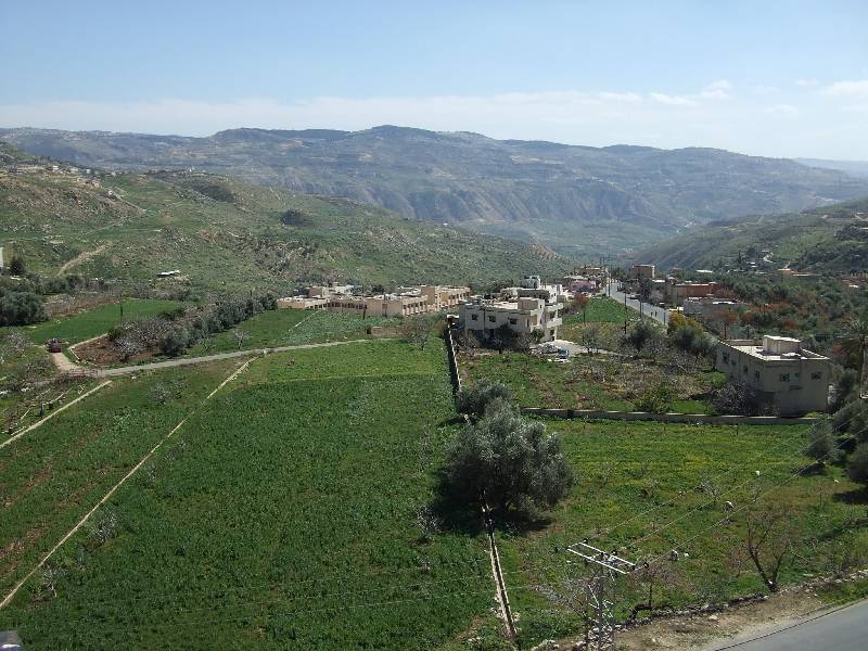 Wadi es Sir Tal (4) 